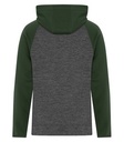 Charcoal Dynamic/Forest Green