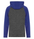 Charcoal Dynamic/True Royal