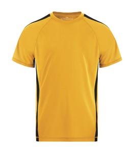 Gold/Black