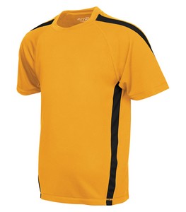 Gold/Black