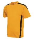 Gold/Black