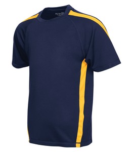 True Navy/Gold