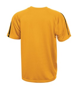 Gold/Black