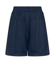 True Navy