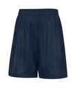 True Navy