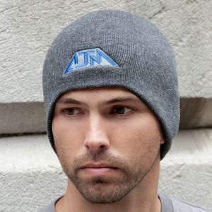 Model_1