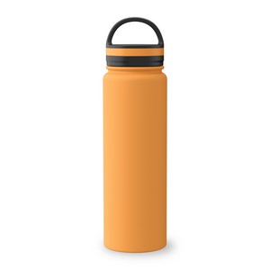 DW328 ORG front blank
