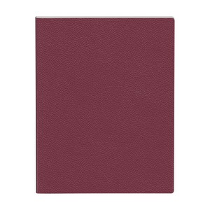 ST4863 BGY FRONT blank
