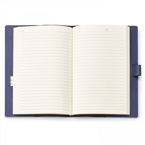 ST4670 Toscano BLU open loop