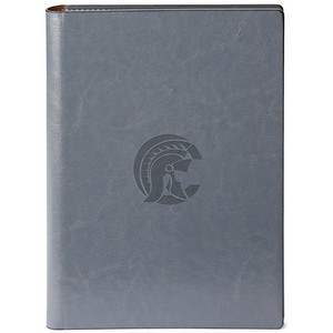 ST403 Fabrizio grey DB