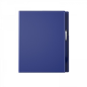 ST4579 BLU blank
