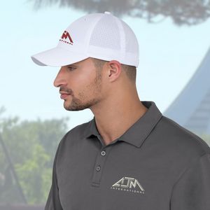 Model_1