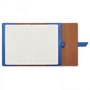 ST4233 Donald Blue Open