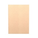 SC1051 Kraft blank