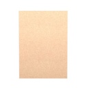 SC1052 Kraft blank