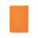 ST4177 Donald Orange Back
