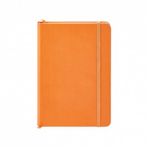 ST4177 Donald Orange Front