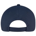 Navy Back