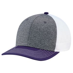 Purple/Charcoal Gray/White