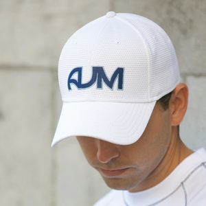 Model_1