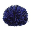 Black/Royal Blue