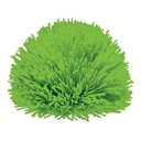 Neon Green