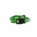 Kelly Green Branded