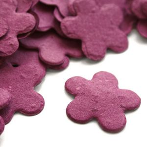 Berry Purple