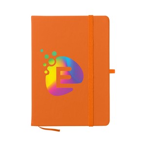 6962 ORN Digibrite