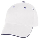 1032 WHTROY Blank
