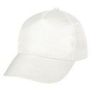 1085 WHT Blank