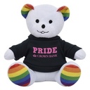 1277 RAINBOW Shirt Silkscreen