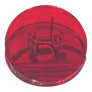 204 TRNRED Blank