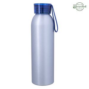 55302 SILBLU BLANK
