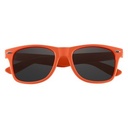 6223 ORN Front Blank