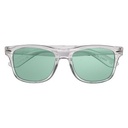 6283 CLRGRN Front Blank
