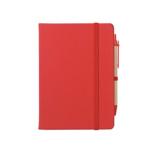 65024 RED Blank