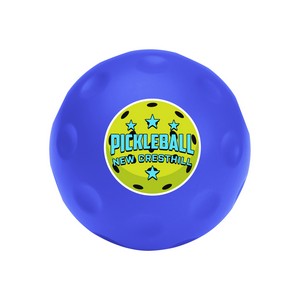 80045 BLU Digibrite