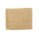 8080 TAN Front