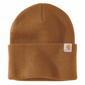 Carhartt Brown