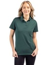 Evergreen PRO Front