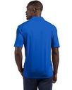 Royal Blue PRO Back