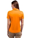 Orange Burst PRO Back