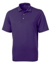 College Purple