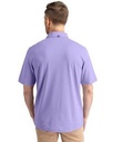 Hyacinth PRO Back