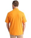 Orange Burst PRO Back