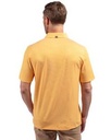 College Gold/White PRO Back