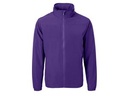 College Purple