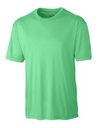 Apple Green