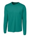 Teal Green
